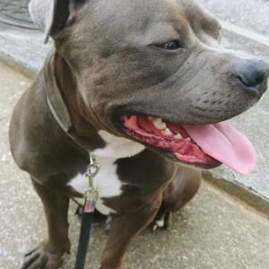 Meet your Posher, Cam